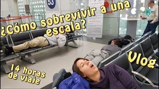 ¿Cómo sobrevivir un viaje con escalas? I 14 horas de viaje en 5 min | Blog y Miembros