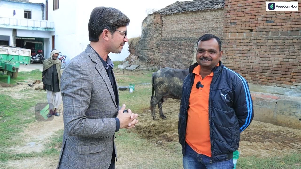 Murrah Buffalo Dairy Farming | ffreedom App Success Story | Uttar Pradesh | Hindi