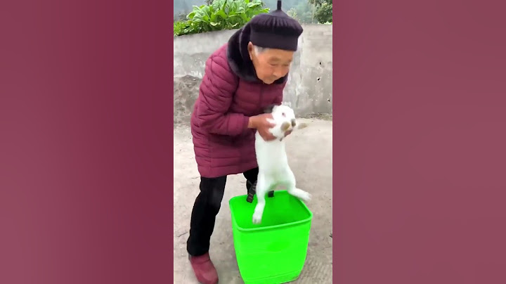 Oops, forgot the stairs existed!|Chinese couple keeps laughing in comedy