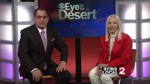 Carole Sumner Krechman Interviewed on Eye on the D...