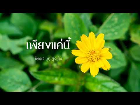 เพียงแค่นี้ ❀ นิตยา บุญสูงเนิน