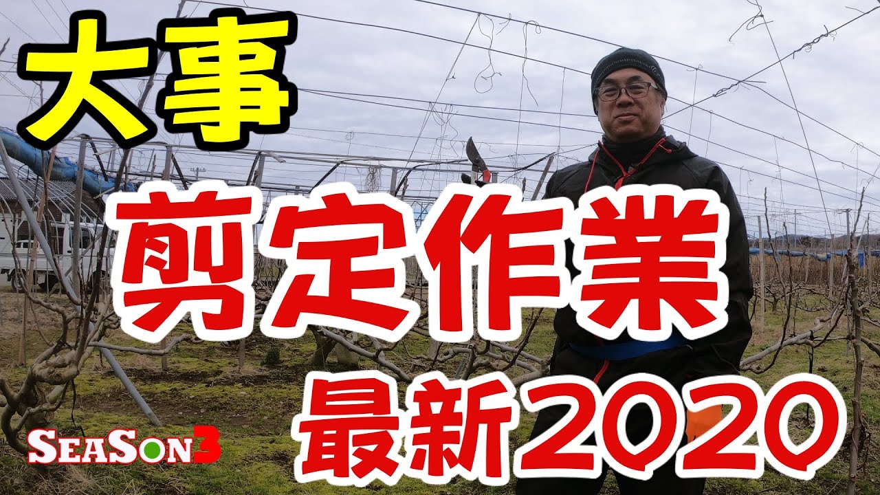 Рис Влог # 1Приборка СЕЗОНА3