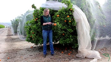Farmers Protecting Bees