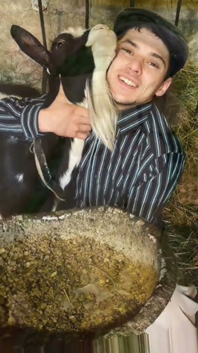 Де той час 😢 Liolik.ua - YouTube