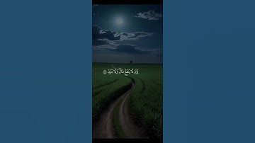 🕋 أجمل تلاوة تسمعها اليوم – خشوع وبكاءراحة للقلب وتطمين للنفس – استمع للقرآن الكريم #القرآن_الكريم