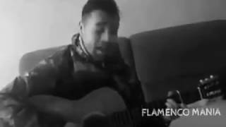 Despacito - Cover Flamenco Jose Luis #flamenco2017