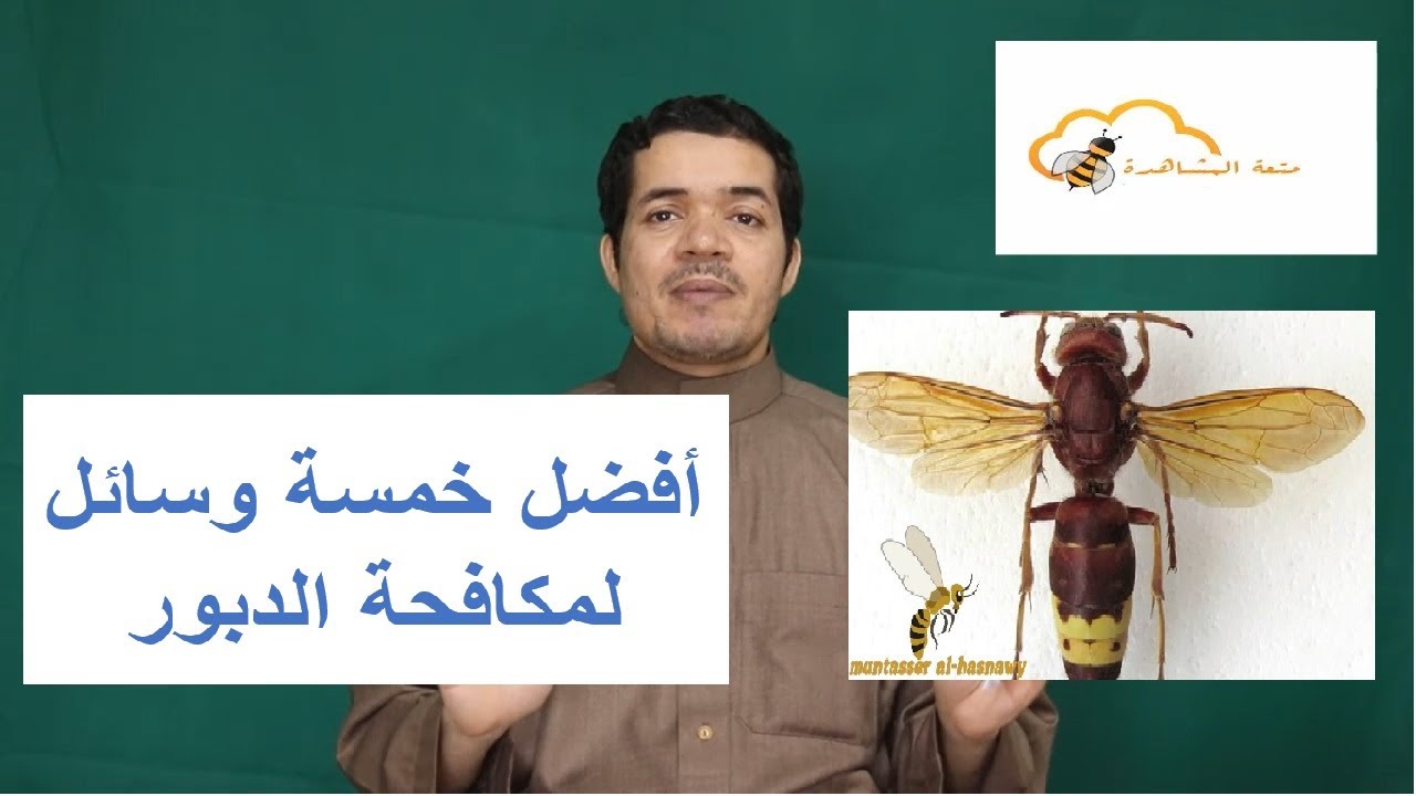 أفضل خمس وسائل لمكافحة الدبور عدو النحل