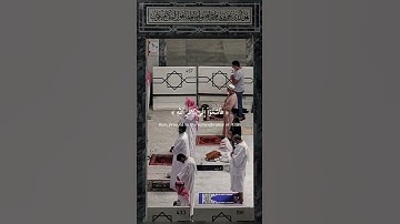 القارئ: محمد النقيب