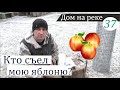 Посадка яблони и цветов в оттепель. Дом на реке, часть 37