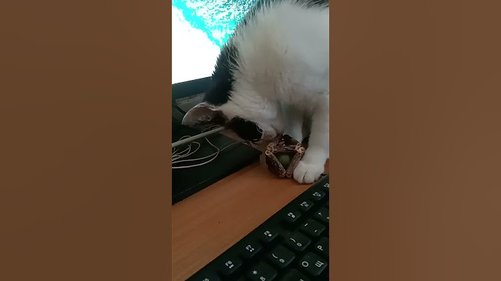 Что спрятали в игрушку? :-)