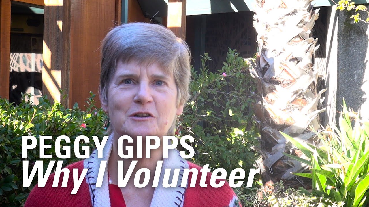 2016 Volunteer Experience: Peggy, Data Entry