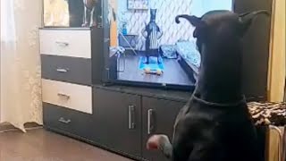 My Name Is Giovanni Giorgio But... Online Training Is Preferred Today