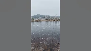 ICE Makes INCREDIBLE Sounds Skipping Rocks On Frozen Pond Shorts Scifi Science Lake 