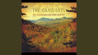 Video thumbnail of "The Grass Cats - Unwanted Love"