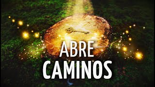 Meditación RITUAL ABRE CAMINOS | Los 4 SENDEROS FUNDAMENTALES