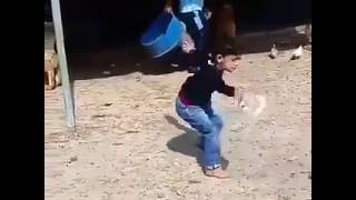 VID 20160704 WA0001