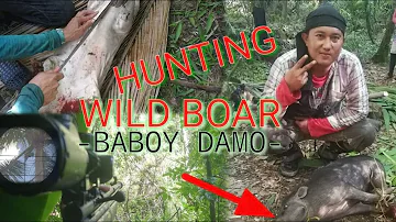 HUNTING BABOY DAMO | HUNTING WILD PIG