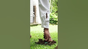 Discover Sentricon: Your Hawaii Home