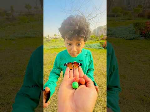 الفراشه الشقية كانت هتاخد الماربيلا من البيبي 
