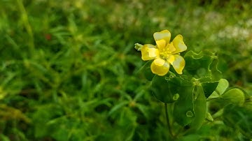 Suy Niệm Lời Chúa, Thứ Tư Tuần XIX Thường Niên (14/08/2024)