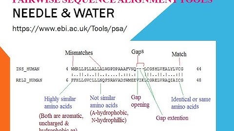 Pairwise Sequence Alignment Tools - Needle and Water