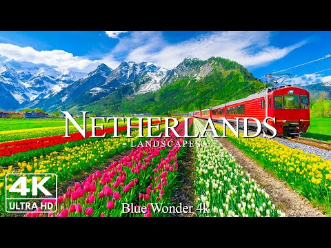 Netherlands Relaxing Music With Beautiful Natural Landscape