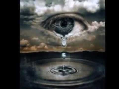 مين قلك فضل شاكر