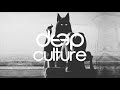Vintage Culture, Bruno Be & Ownboss - Intro Rework (Ashibah Miracle Vox Edit)
