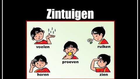 Zintuigen inkijkexemplaar groepen 3 en 4