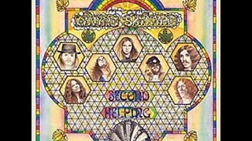 Lynyrd Skynyrd   Don