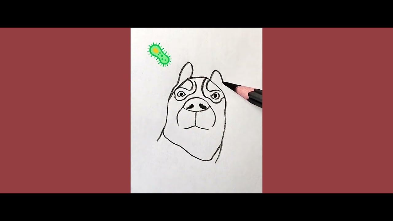 How to Draw Animals Expressions |  Best Drawing Tutorial part 51 Draw Creative 