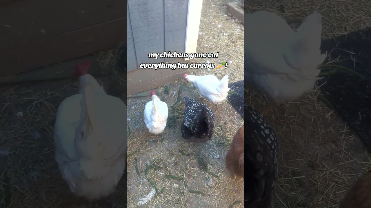 Им всё равно! 