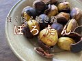 【9月～10月ぽろたんで焼き栗】オーブントースターで簡単！