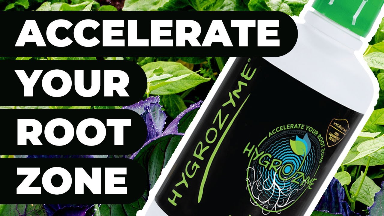 Boost Your Plant Growth with Hygrozyme: The Ultimate Enzyme Formula for Horticulture & Hydroponics.