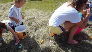 Ayden's first easter egg hunt!