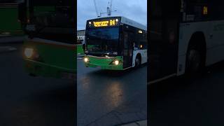 Action #466 Custom CB60 Evo II (Tri Axle) Spotted On Route R4 To Tuggeranong #buses #bus  #shorts