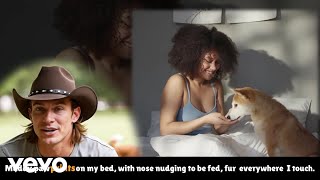 Dead Dave - Four Legs And A Tail (Official Music Video) (Lyric Video)
