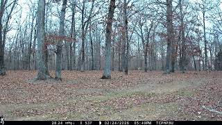 Browning Spec Ops Elite HP5 Ultra