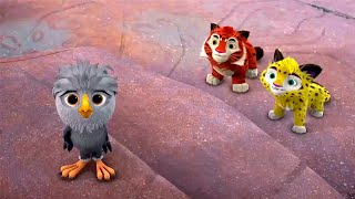 Leo and Tig  Bird day  Funny Family Good Animated Cartoon for Kids