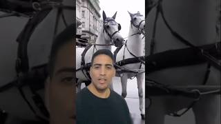 5 COSE DA NON FARE🚫 A VIENNA🇦🇹 #shorts #vienna #travel #consigli