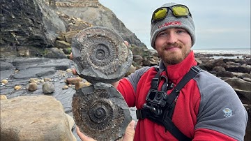 This Remote Beach Was Filled With Fossils! 