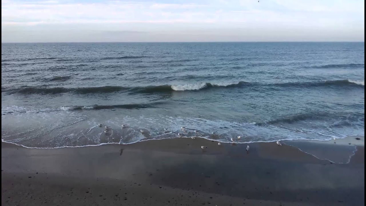 Температура воды в балтийском море зеленоградск