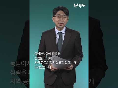 한국의 동남아 환경파괴와 우리 정부의 문제의식 #심인보앵커멘트 #주간뉴스타파 #shorts