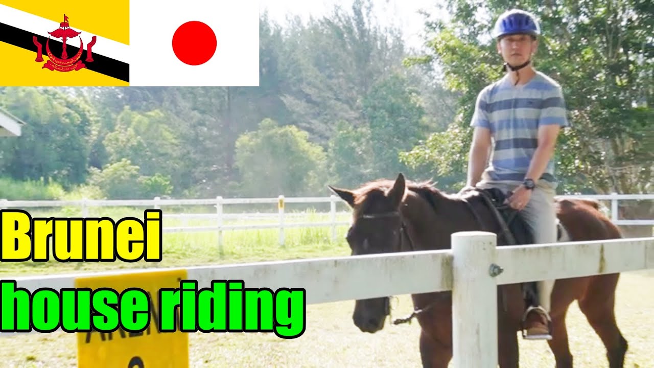 Horse Riding Schools Australia Horse Riding Schools Australia