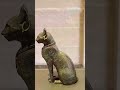 Catwoman from DC comics