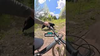 Biker And Dog Get An Unexpected Encounter...