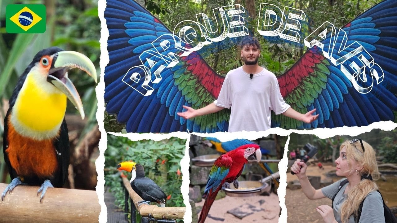 ¿Es mejor que las Cataratas? Parque das Aves en Brasil 😱🦜🇧🇷