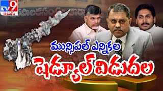 AP Municipal and Corporation elections schedule released - TV9