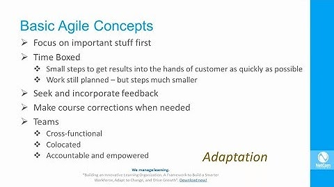 Project Management Skills in an Agile World