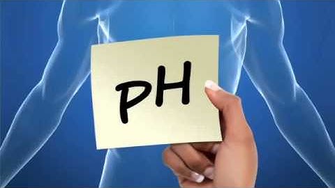 New GCSE BBC Bitesize   Digestion Low